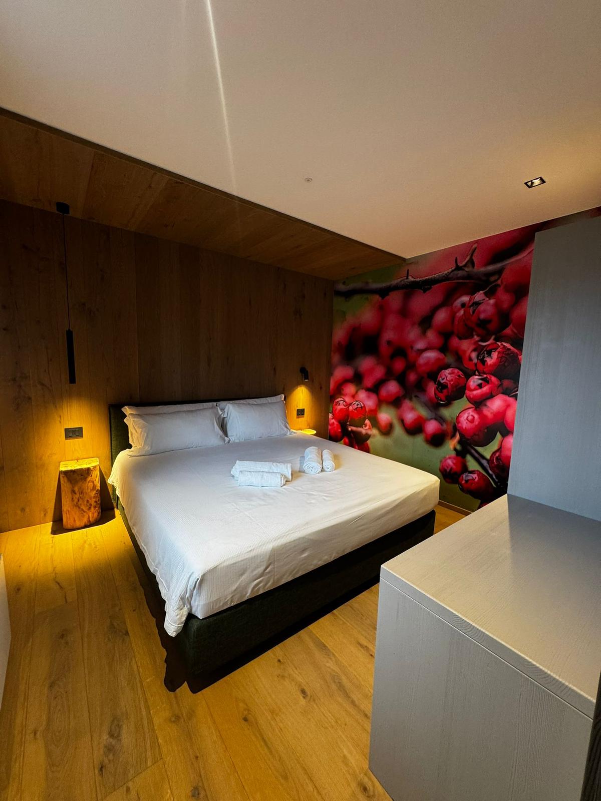 Wellness Apartment on Mount Zoncolan at La Dâne - 4