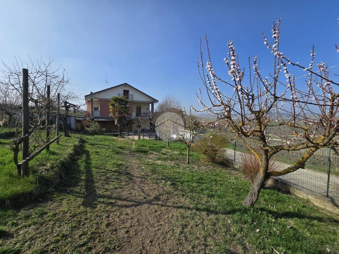 Panoramic Villa Over the Vineyards in Castiglione Tinella